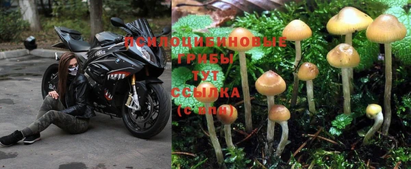 ешки Баксан
