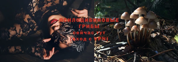 ешки Баксан