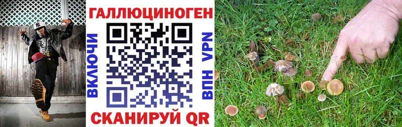 кракен ONION  Волжск  Псилоцибиновые грибы MAGIC MUSHROOMS 